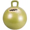 Image de Ballon sauteur or (45 cm)