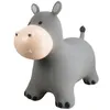 Image de Ballon sauteur Le Hippo Holger