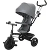 Image de Tricycle évolutif Aston 2 Plus Malachite Grey