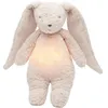 Image de Peluche veilleuse lapin nature bio avec sons & lumières rose 2.0