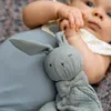 Image de Doudou Blinkie Mineral Green
