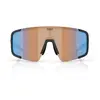 Image de Lunettes de soleil Bliz P003 Noir L (32)