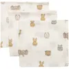 Image de Lot de 3 mini langes Jollies (31 x 31 cm)