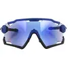 Image de Lunettes de Rogelli Switch Bleu TU