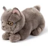 Image de Peluche Freddy le Brittish Shorthair (20 cm)