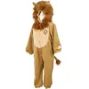 Image de Déguisement de lion (2 ans)