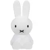 Image de Veilleuse Bundle of Light Miffy (15 cm)