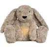 Image de Bibi le lapin avec entraîneur de sommeil Taupe