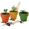 Image de Pots et accessoires du potager en bois