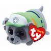 Image de Paw Patrol Rocky Teeny Ty, 10 cm (10 cm)