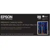 Image de Epson Papier C13s041846