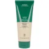 Image de Aveda, Shampoing, Mousse de sapin (Shampoing liquide, 200 ml)