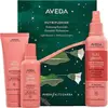 Image de Aveda, Shampoing, Nutriplenish Hydrating Essentials : Lumière (200 ml, Shampoing liquide)