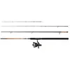 Image de Mitchell Canne Feeder Catch Pro Ii 3.00 m
