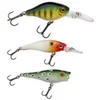 Image de Berkley Minnow Pulse Perch