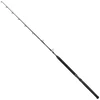 Image de Penn Canne Baitcasting Marine Brigade Trolling