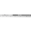 Image de Penn Canne Baitcasting Prevail Iii Le Boat