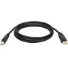 Image de Eaton Câble USB 2.0 A/B M/M 6ft. 1,83m (1.83 m, USB 2.0), Câble USB