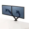 Image de Bras Fellowes Platinum Porte-écrans double Noir