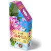 Image de Madd Capp I Am Dahlia 350 Puzzle (350 pièces)