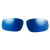 Image de Bolle Verres De Rechange Breaker Polarized