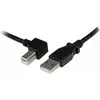 Image de StarTech Câble d'imprimante USB (2 m, USB 2.0), Câble USB