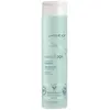 Image de Joico, Shampoing, Shampooing hydratant INNERJOI 300 ml (Shampoing liquide, 300 ml)