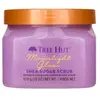 Image de TREE HUT Moonlight Glow Shea Sugar Scrub Lichaamsscrub