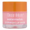Image de TREE HUT Watermelon Overnight Lip Mask Lipmasker
