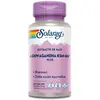 Image de Solaray Capsules Ashwagandha Ksm-66 Plus 60 Unités