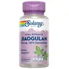 Image de Solaray Capsules Jiaogulan 410mg Mood 60 Unités