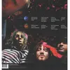 Image de Stade Arcadium, Disque vinyle