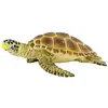 Image de Safari Ltd Figure Loggerhead Turtle De 3 Années