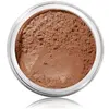 Image de bareMinerals All-Over Face Colour Bronzing poeder