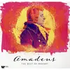 Image de Amadeus:Le meilleur de Mozart, Disque vinyle