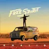 Image de Free Spirit Double Vinyle Gatefold Inclus coupon MP3