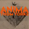 Image de LP-THOM YORKE-ANIMA -2LP-, Disque vinyle
