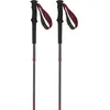Image de Salomon Bâtons Quest Carbon Foldable