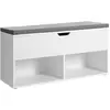 Image de Vasagle, Armoire à chaussures, Ted (100 x 30 x 48 cm)
