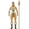 Image de Mattel Masters of the Universe Core NE Teela