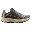 Image de Salomon, Femmes, Chaussures de course à pied, Thundercross GTX Schuhe für Damen (42), Noir, Gris