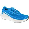 Image de Salomon, Hommes, Chaussures de course à pied, DRX Bliss Herren Laufschuhe (41 1/3), Bleu