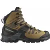 Image de Salomon, Hommes, Chaussures de randonnée, Quest 4 GTX Herren-Trekkingschuhe (42), Noir, Gris