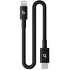 Image de Câble Beats USB-C vers Lightning 20 cm Noir pour iPhone