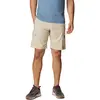 Image de Columbia, Hommes, Short, Silver Ridge Utility Cargo Short, Marron, (36)