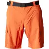 Image de Columbia, Hommes, Short, Silver Ridge  Utility Cargo Short, Orange, (34)