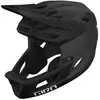 Image de Giro Casque De Descente Coalition Spherical Mips