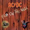 Image de Fly On The Wall 50th Anniversary Édition Limitée Vinyle Or