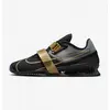 Image de Nike, Chaussures de golf, (43)