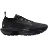 Image de Nike, Hommes, Chaussures de course à pied, Pegasus Trail 5 GORE-TEX (46), Noir, Gris